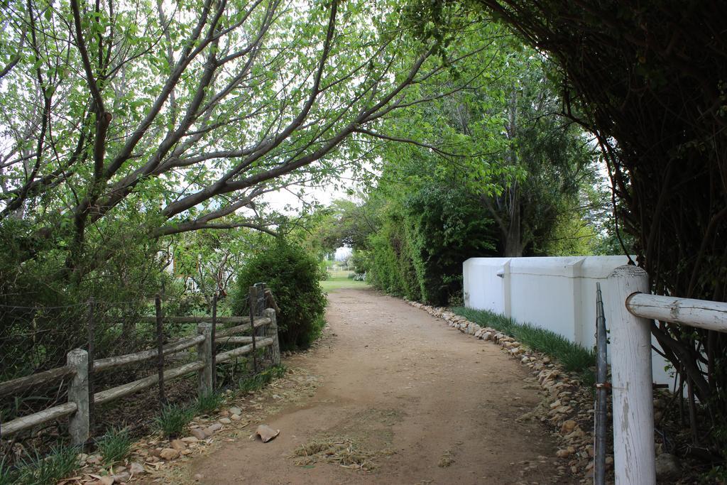 פרינס אלברט Acacia Cottage מראה חיצוני תמונה