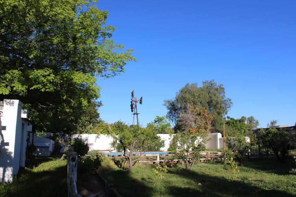 פרינס אלברט Acacia Cottage מראה חיצוני תמונה